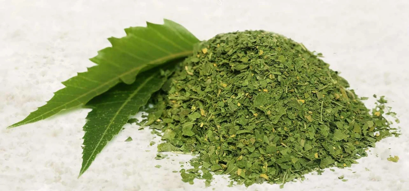 Dried neem