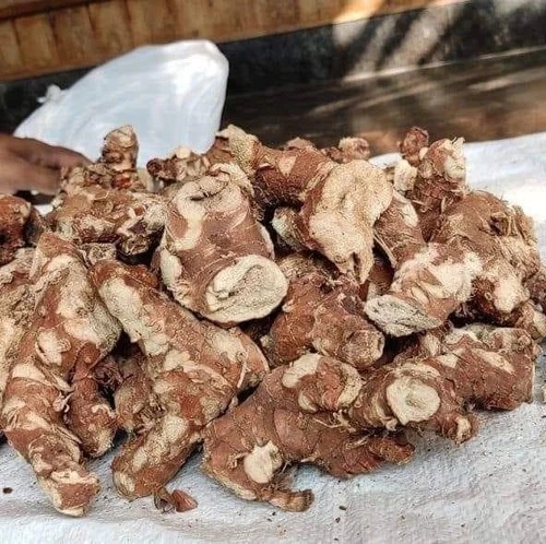 galangal roots