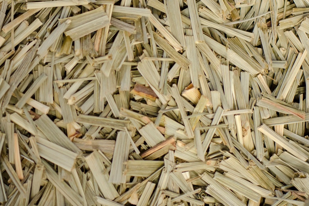 Dried lemon grass