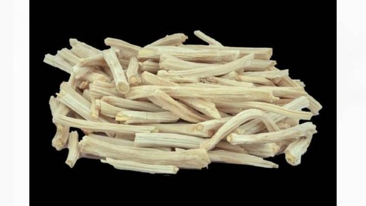 WhatsApp Image 2024-09-03 at 15.20.39_dd2f943a